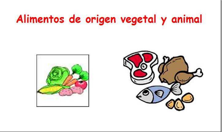 Alimentos de origen vegetal y animal | Recurso educativo 34257