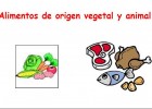 Alimentos de origen vegetal y animal | Recurso educativo 34257