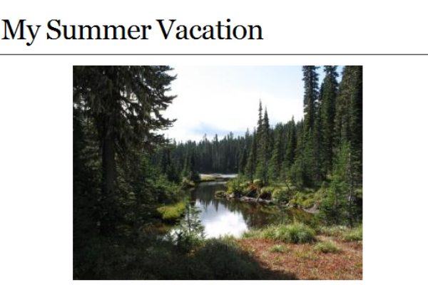 Webquest: My summer vacation | Recurso educativo 34690