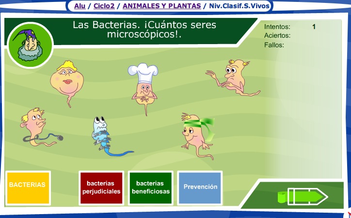 Las bacterias | Recurso educativo 35649
