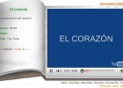 El corazón | Recurso educativo 36228