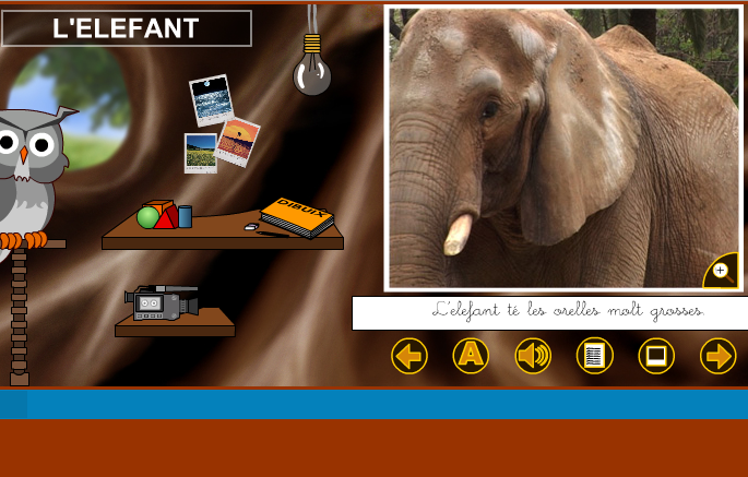 El Món per un Forat: elefant | Recurso educativo 38788