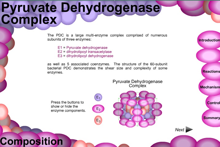 Video: Pyruvate Dehydrogenase Complex | Recurso educativo 39941