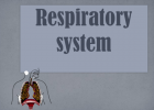Respiratory system | Recurso educativo 40392