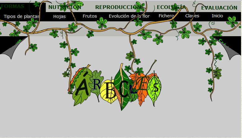 Árboles | Recurso educativo 41208