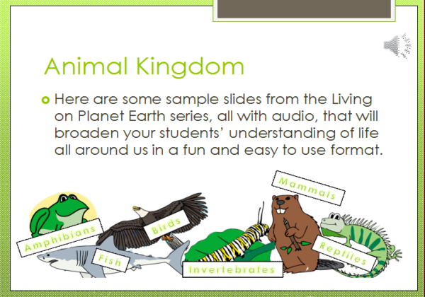 Animal kingdom | Recurso educativo 41715