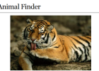 Webquest: Animal finder | Recurso educativo 43118