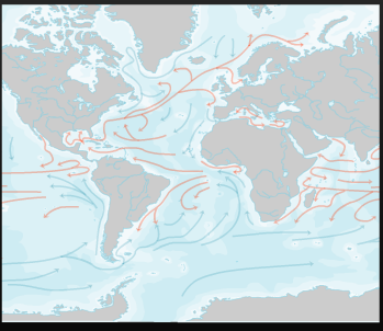 Las corrientes marinas | Recurso educativo 45461
