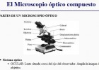 El microscopi òptic | Recurso educativo 46307