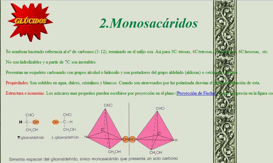 Monosacáridos | Recurso educativo 46349