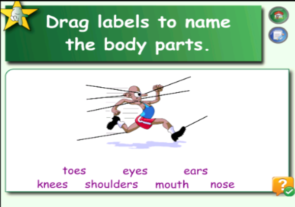 Naming body parts | Recurso educativo 46385