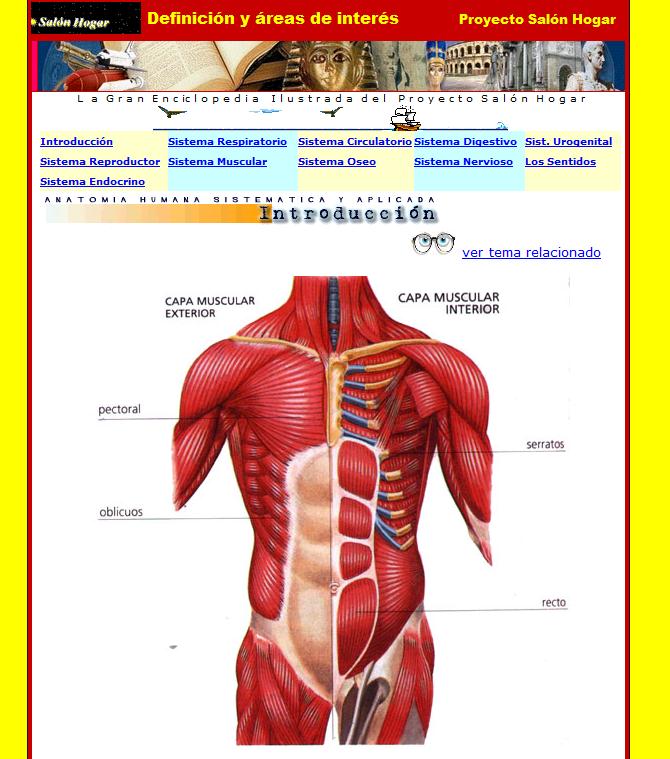 Introducción al cuerpo humano | Recurso educativo 46674