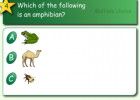 Animal types | Recurso educativo 47392