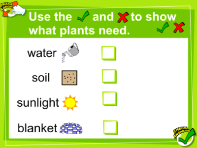 The importance of plants | Recurso educativo 47475