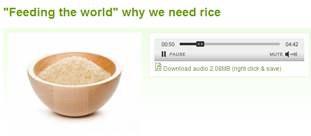 Why we need rice | Recurso educativo 47554