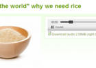 Why we need rice | Recurso educativo 47554