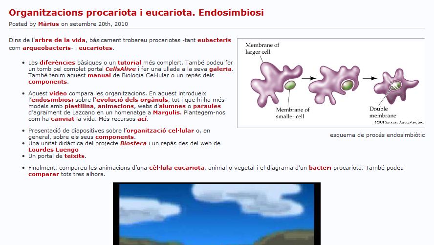 Endosimbiosi | Recurso educativo 47672
