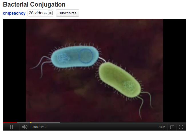 Conjugació bacteriana | Recurso educativo 47717