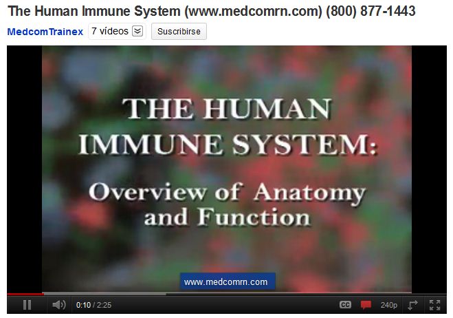 El sistema immune humà | Recurso educativo 48130