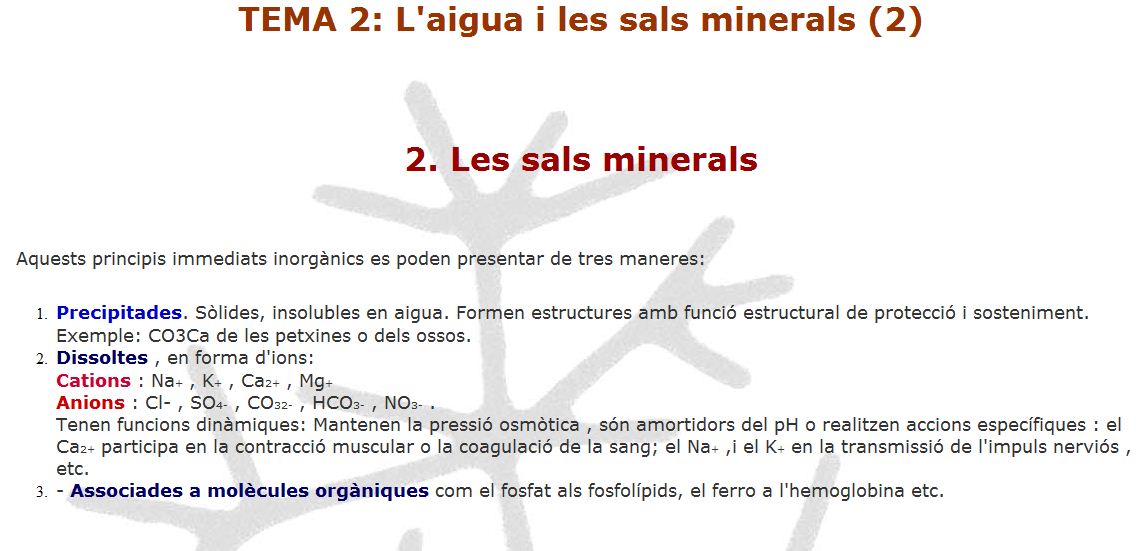 Sals minerals | Recurso educativo 48735