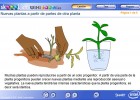 Nuevas plantas a partir de partes de otra planta | Recurso educativo 49479