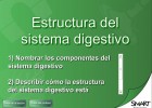 Estructura del sistema digestivo | Recurso educativo 49518
