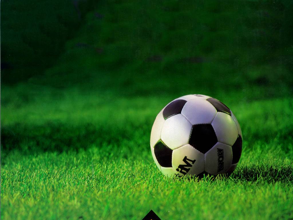Pelota de fútbol | Recurso educativo 50262