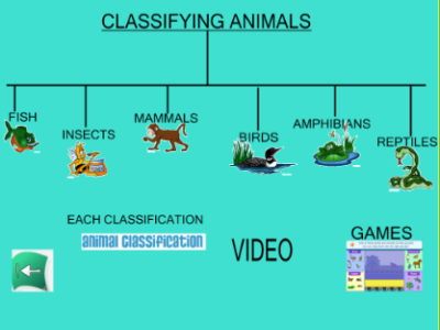 Classifying animals | Recurso educativo 50513