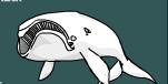 Las especies de ballenas más amenazadas | Recurso educativo 50600