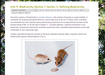 Ecology lab: Biodiversity decline | Recurso educativo 50761