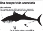 Especies en peligro de extinción. Una noticia sobre el atún rojo. | Recurso educativo 52362