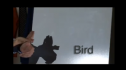 Bird idioms | Recurso educativo 54257