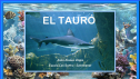 El tauró | Recurso educativo 54351
