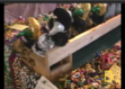 Video: Mardi Gras | Recurso educativo 56572