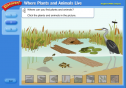 Where plants and animals live? | Recurso educativo 58924