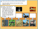 Animals and their babies | Recurso educativo 58965