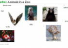 Animals in a zoo | Recurso educativo 59806