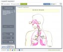 Aparell respiratori | Recurso educativo 59996