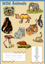 Wild animals | Recurso educativo 61853