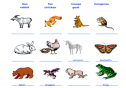 Name that animal | Recurso educativo 13467