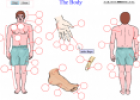 The body | Recurso educativo 14177