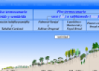 Ecosistema de Canarias | Recurso educativo 15683