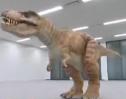 Vídeo: els dinosaures | Recurso educativo 18542