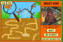 Insect hunt | Recurso educativo 21443