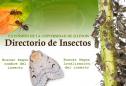 Un directorio de insectos | Recurso educativo 22220