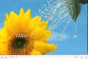 Video: Life cycle of a flower | Recurso educativo 23654
