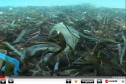 Video: Oceans de plàstic | Recurso educativo 24850