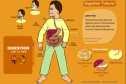 Digestion tutorial | Recurso educativo 25801