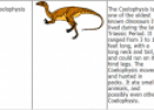 Dinosaurs | Recurso educativo 26566
