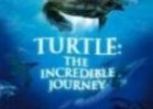 El viaje de la tortuga | Recurso educativo 26623
